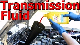 How to Change Automatic Transmission Fluid and Filter COMPLETE Guide [upl. by Ardnoet]