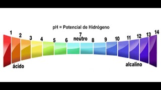 ¡COMO REGULAR EL PH A LOS PRODUCTOS [upl. by Eidassac]