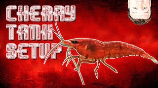 HOW TO Setup Cherry Shrimp Tank and Neocaridina [upl. by Archibald557]