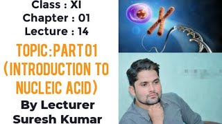 Nucleic acid class 11nucleic acid biochemistrySTB NCERT PTB FTBHindiUrdu By SirSuresh Kumar [upl. by Chesna]