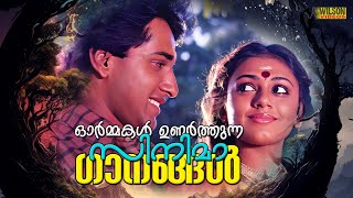 ഓർമ്മകൾ ഉണർത്തുന്ന സിനിമാ ഗാനങ്ങൾ  Evergreen Malayalam Film Songs [upl. by September]