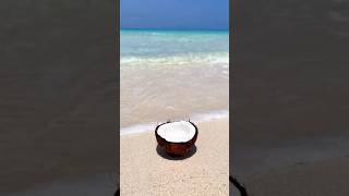 Zanzibar beaches travel beach ocean summer youtubeshorts africantravel nature moreviews [upl. by Hui]