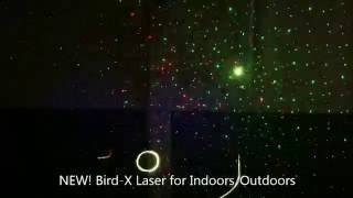 NEW แสงเลเซอร์ไล่นก Bird X Laser for Indoors Outdoors [upl. by Hjerpe100]