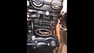 Triumph 955i strange noise [upl. by Enined]