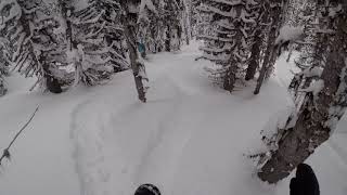 Backcountry snowboarding in Fernie [upl. by Chad747]