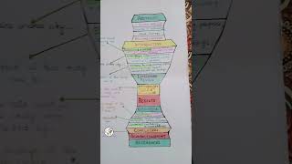 Structure of research proposal  how to research  flowchart of researchyoutubeshortseducation [upl. by Barde655]