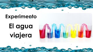 Experimento El agua viajera 💧🌈 [upl. by Yarahs772]