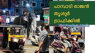 Pampady Rajan തൃശൂർ ട്രാഫിക്കിൽkeralaelephantVMPRADEEPkeralatourismkeralatourism [upl. by Newby]