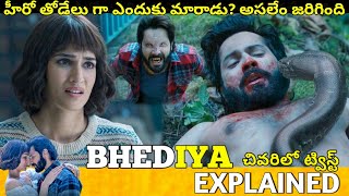 Bhediya Telugu Full Movie Story Explained  Movie Explained in Telugu Telugu Cinema Hall [upl. by Ecarret]