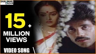 Majnu Movie  Idi Tholi Raatri Video Song  Nagarjuna Rajini  Shalimarcinema [upl. by Prentiss560]