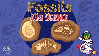 Fossils  KS2 Science  STEM and Beyond [upl. by Anitsuga965]