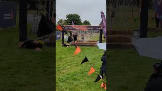 SHOCK THERAPY TOUGH MUDDER 2024 PART 1 [upl. by Appleton]