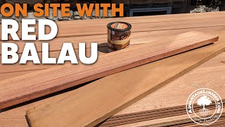 Red Balau On The Job Site With Advantage Lumber [upl. by Veradis]