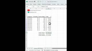 Función SUBTOTALES en Excel para Celdas Filtradas y Ocultas shorts [upl. by Sisenej477]