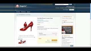 How to Install Magento Sample Data [upl. by Fillender]