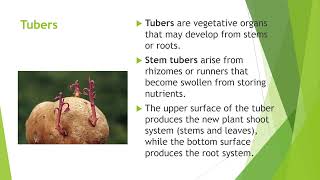 PRINCIPLES OF CROP PRODUCTION [upl. by Corron]