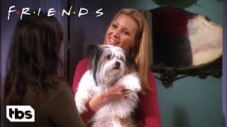 Chandler Doesn’t Like Dogs Clip  Friends  TBS [upl. by Linder656]