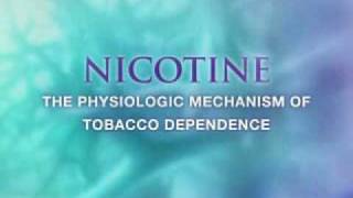 Visualization award winner in Science  Nicotine addiction and molecule diffusion [upl. by Avuha]