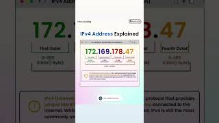 🌐 Understanding IPv4 Addresses 🌐 [upl. by Brower518]