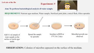 Exp Microbiology B Pharma 3rd Sem To perform bacteriological analysis of water sample [upl. by Chessy160]