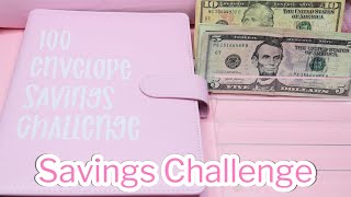 BOOST Your Savings with the 100 Envelope Challenge [upl. by Scibert989]