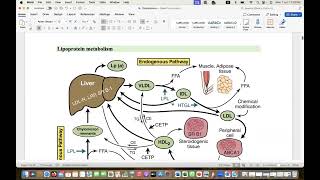 Comprehensive Guidelines of dyslipidemia part 1 biochemistry hypertriglyceridemia [upl. by Zephaniah]