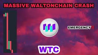 WTC COIN MASSIVE CRASH IN DECEMBER 2023‼️ WALTONCHAIN EMERGENCY UPDATE‼️ BINANCE DELISTING NEWS [upl. by Ranger354]