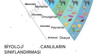 9Biyoloji 1Tema 2Yazılı Hazırlık Sınıflandırma [upl. by Htiekel]