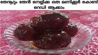 Then NellikaHoney Gooseberry recipeHoney Gooseberry with Malayalam recipe [upl. by Erotavlas]