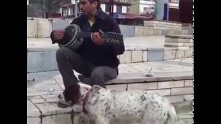 Şarkı söylerken köpeğe hoşt diyen adam koptum [upl. by Luckin]