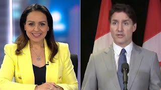 Lefties losing it Rita Panahi brands Justin Trudeau a ‘neoMarxist Ken doll’ [upl. by Amorete]