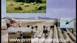 Fenland Farming 1955 DVD [upl. by Perretta]