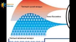 Осушители воздуха Dantherm  преимущества характеристики применение [upl. by Bodi]