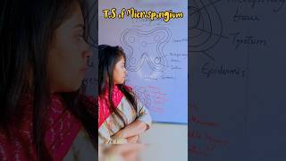 How to draw Microsporangium easily microsporangium  easy trick microsporogenesis shorts youtube [upl. by Yelak]