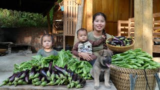 Harvest green vegetables and eggplants to sell at the market  cook with your children [upl. by Luben757]