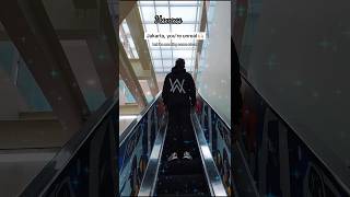 alan walker  faded feat tove styrke alanwalker faded shortfeed feedshorts itsmylife vrser [upl. by Dinerman]