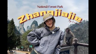 A MUST VISIT Zhangjiajie Natioanl Forest Park  Travel with Ciara [upl. by Bacchus366]