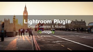 How To Create WordPress Galleries amp Albums From Lightroom [upl. by Harimas]