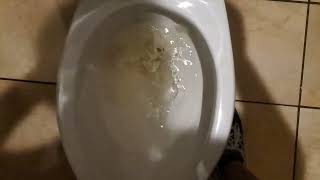 Cheddars Scratch Kitchen Allen TX Mens Restroom  Full Shoot 700 Subscriber Special [upl. by Myrta]