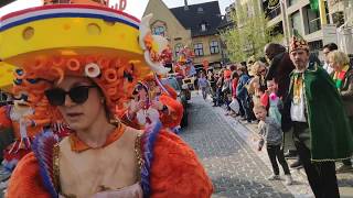 Poperinge Carnaval 2019  Buitenstoet AKV Stièndoeid Aalst [upl. by Yevette]