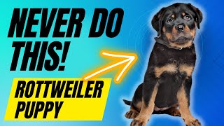 6 Things You Must NEVER Do With Your Rottweiler Puppy [upl. by Orihakat]