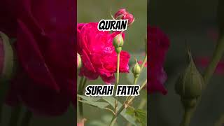 quraninurdu surahfatir islamicvideo shortvideo viralvideo jannatulfirdaus youtube [upl. by Mike]