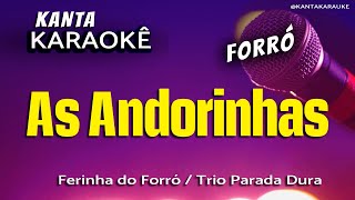 🎤karaokê AS ANDORINHAS forró  Ferinha do forró  Trio Parada Dura [upl. by Marin]