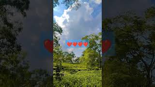 তুমি নাচনী এতিয়া যে গাভৰুtumi nasoninew Assamese song 2024 [upl. by Akined250]