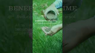 How can lime help your lawn [upl. by Sreip]