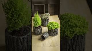 Wooden Log Planters garden gardendecoration gardening [upl. by Name63]