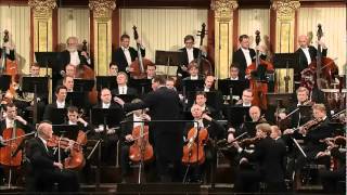 Beethoven Sinfonia 5 [upl. by Iona]