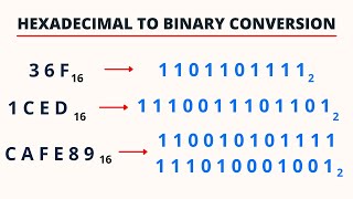 Hexadecimal to Binary Conversion  PingPoint [upl. by Ieso]