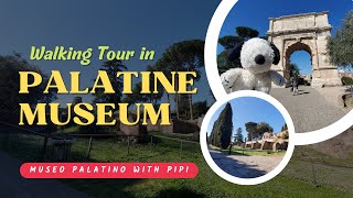 The Palatine Museum Italian Antiquarium del Palatino [upl. by Notlad66]