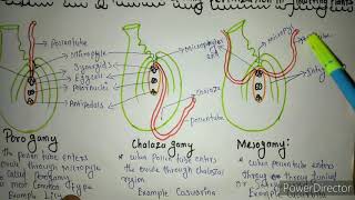 Embryology of flowering plants different path of pollen tube during fertilisation [upl. by Margetts15]